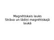 Презентация 'Magnētiskais lauks.Strāva un lādiņi magnētiskajā laukā', 1.