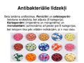 Презентация 'Antibiotiku izvēle grūtniecības laikā', 5.