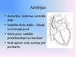 Презентация 'Asinsrites orgānu sistēma', 10.