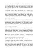 Эссе 'The importance of self-confidence for students', 9.