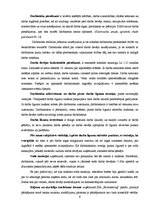 Отчёт по практике 'Restorāna pakalpojumu komerczinības', 9.