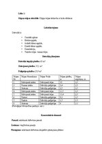 Образец документа 'Dzīvokļa vērtības noteikšana', 5.