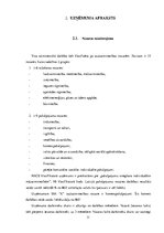 Отчёт по практике 'SIA "X" iekšējās darba kārtības un grāmatvedības kārtošanas apraksts un analīze', 11.