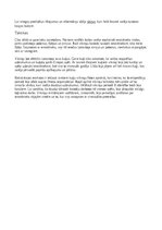 Эссе 'Vikingu karadarbība', 2.