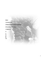 Реферат 'Plan de Exportación de Vinos Carmenere a Brasil', 2.