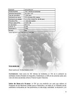 Реферат 'Plan de Exportación de Vinos Carmenere a Brasil', 7.