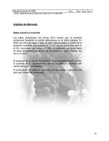 Реферат 'Plan de Exportación de Vinos Carmenere a Brasil', 9.