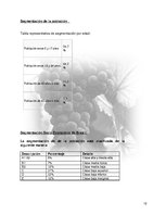 Реферат 'Plan de Exportación de Vinos Carmenere a Brasil', 11.