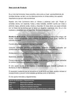 Реферат 'Plan de Exportación de Vinos Carmenere a Brasil', 22.