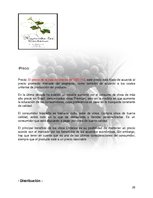 Реферат 'Plan de Exportación de Vinos Carmenere a Brasil', 24.