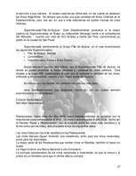 Реферат 'Plan de Exportación de Vinos Carmenere a Brasil', 26.