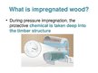 Презентация 'Impregnated Wood', 4.
