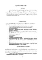 Реферат 'Latvijas bibliotēkas digitālajā laikmetā: Pielāgošanās un attīstība', 7.