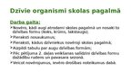 Презентация 'Pētījuma apraksts Dabaszinības 5. klase Cilvēku veidotas ekosistēmas - Pagalms', 4.