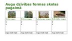 Презентация 'Pētījuma apraksts Dabaszinības 5. klase Cilvēku veidotas ekosistēmas - Pagalms', 5.