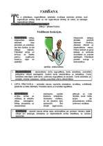 Конспект 'Vadīšana', 1.