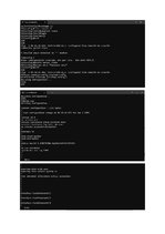 Конспект 'Basic Switch and End Device Configuration', 4.