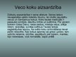 Презентация 'Veci koki', 3.