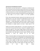 Эссе 'The Importance of Protecting the Environment', 1.