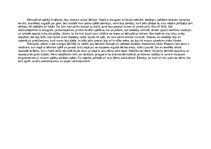 Эссе 'Eksāmens rotaļu analīze', 2.