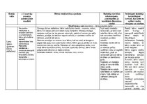 Эссе 'Eksāmens rotaļu analīze', 3.