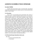 Реферат 'Patstāvīgais darbs Eiropas Savienības tiesībās', 12.