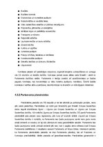 Реферат 'Patstāvīgais darbs Eiropas Savienības tiesībās', 25.