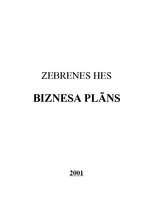 Бизнес план 'Zebrenes HES', 1.