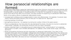 Презентация 'Parasocial relationships', 3.