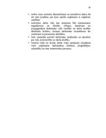 Реферат 'Uzņēmuma AS "Cēsu alus" mārketinga vides un stratēģijas analīze un darbības plān', 29.