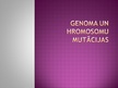 Презентация 'Genoma un hromosomu mutācijas', 1.
