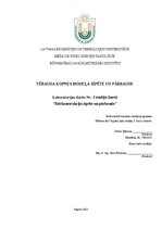 Конспект 'TĒRAUDA KOPNES MODEĻA IZPĒTE UN PĀRBAUDE', 1.