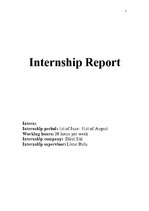 Отчёт по практике 'Internship Report', 1.