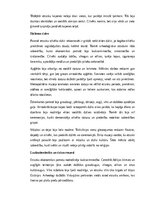 Конспект 'Etruski: vēsture, kultūra, mitoloģija, sabiedrība un kultūras mantojums', 8.