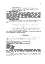 Реферат 'Informācijas avoti uzņēmējdarbībā. Latvijas Tirdzniecības un rūpniecības kamera', 6.