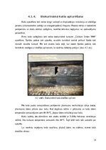 Отчёт по практике 'Prakses atskaite AS "Rīgas Siltums"', 24.