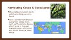 Презентация 'Chocolate Production', 3.