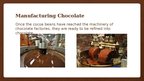 Презентация 'Chocolate Production', 11.