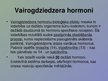 Презентация 'Vairogdziedzeris', 5.