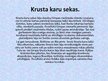 Презентация 'Krusta kari', 8.