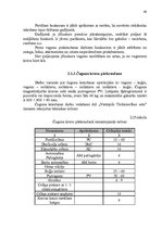Дипломная 'AS "Ventspils tirdzniecības osta" darbības pilnveidošana', 68.