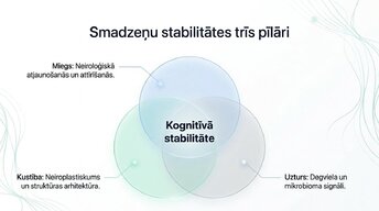 Презентация 'Veselīgu rutīnu ietekme uz fokusu un kognitīvo produktivitāti', 4.