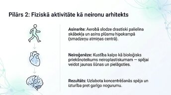 Презентация 'Veselīgu rutīnu ietekme uz fokusu un kognitīvo produktivitāti', 7.