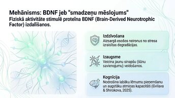Презентация 'Veselīgu rutīnu ietekme uz fokusu un kognitīvo produktivitāti', 8.