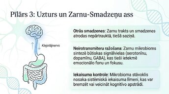 Презентация 'Veselīgu rutīnu ietekme uz fokusu un kognitīvo produktivitāti', 10.