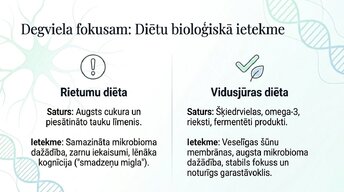 Презентация 'Veselīgu rutīnu ietekme uz fokusu un kognitīvo produktivitāti', 11.