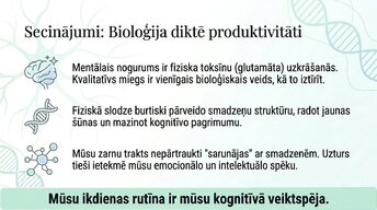 Презентация 'Veselīgu rutīnu ietekme uz fokusu un kognitīvo produktivitāti', 13.