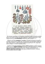 Э-книга 'Cilvēka anatomija: audi un šūnas', 9.