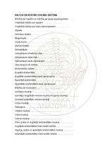 Э-книга 'Cilvēka anatomija: audi un šūnas', 12.