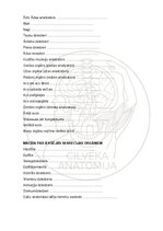 Э-книга 'Cilvēka anatomija: audi un šūnas', 16.